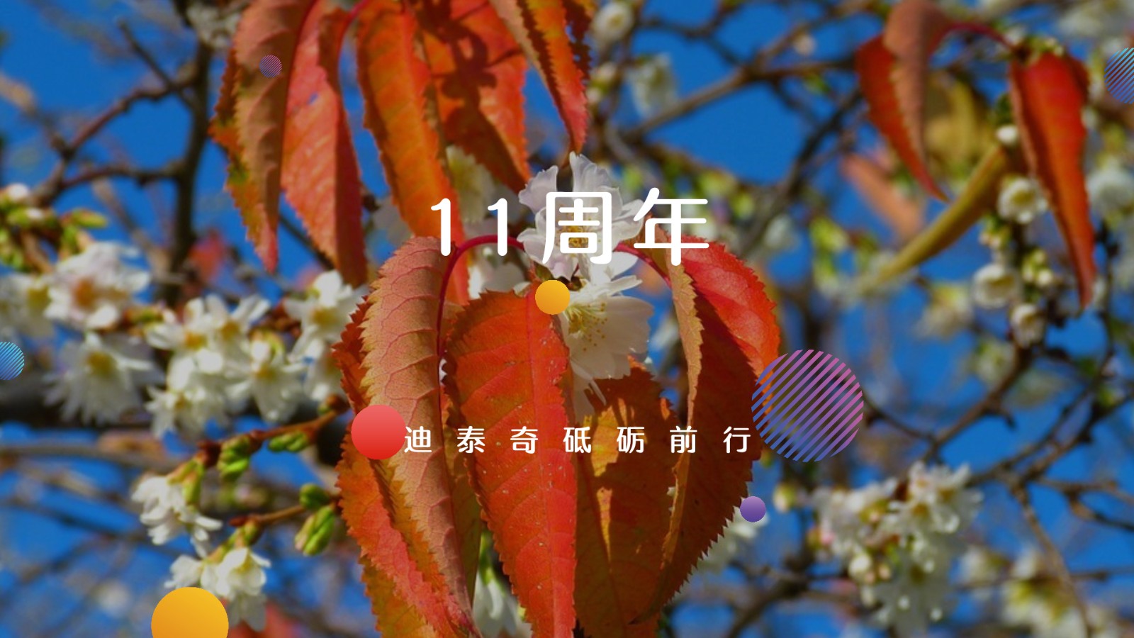微信圖片_20180525090141.jpg 微信圖片_20180525090141.jpg